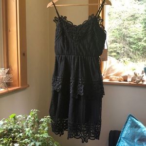 Dex NWT black French lace LBD lace with polka dots